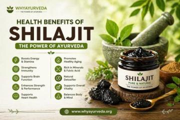 Benefits of Shilajit – Ayurvedic Secret for Wellness