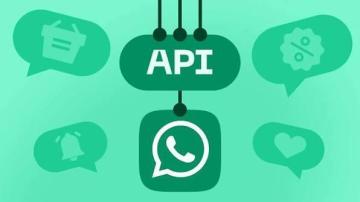 WhatsApp Business API In Vadodara