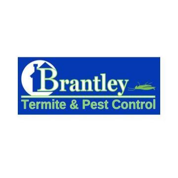 Effective Termite Treatment Services