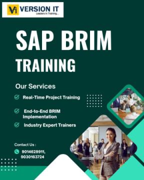 Revenue Innovation Starts Here: Best SAP BRIM Training in Hyderabad by Version IT