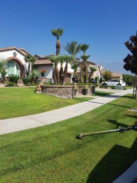 Lorenzo's Tree Services