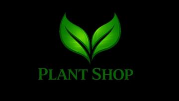 Best Online Plant Shop