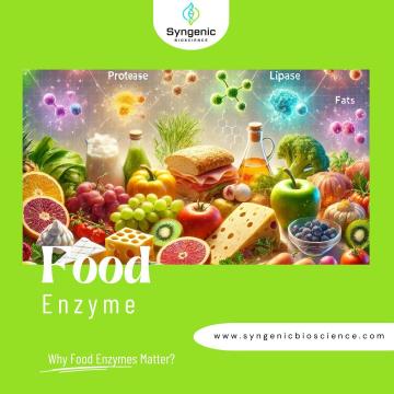 Get best Quality Food Enzyme