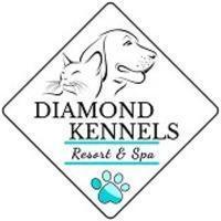 Dog Boarding Facility in Ohio | Trusted Care at Diamond Kennels