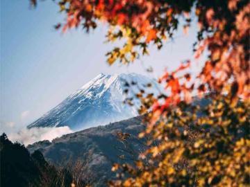 Slow Japan Is a Real Thing and I'm a Believer Now