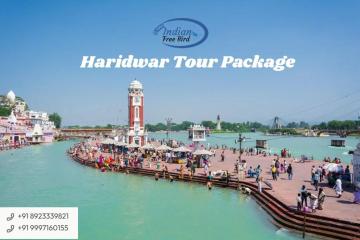 How can I book Haridwar tour package easily with affordable price?