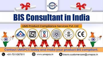 What services do BIS consultant in India provide in 2026?