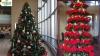 Holiday Season Interior Décor & Christmas Tree Styling for Offices