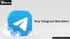 Enhance Channel Growth with Buy Telegram Members