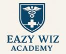 Engineering Opportunities Abroad | Easy WIz Academy