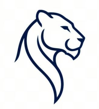 Senior Living Consulting