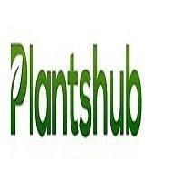 Buy Plants Online India – Bring Nature Home with Premium Plants