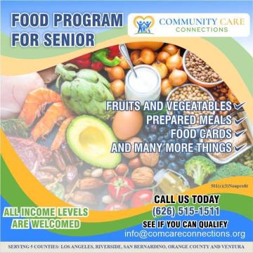 Wheelchair for Seniors