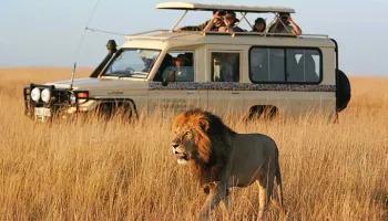 Best South African Safari Holidays