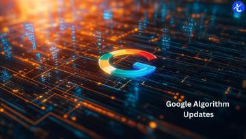 Google Algorithm Updates: SEO Insights
