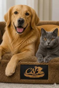 orthopedic dog bed USA