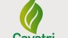 Gayatri Psyllium Industries - India’s Leading Producer of Psyllium-Based Solutions