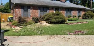 Francisco's Tree Services