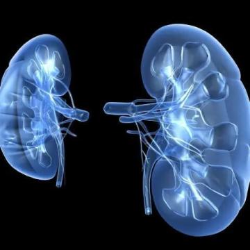 Acute Kidney Injury Treatment | Expert AKI Care & Management