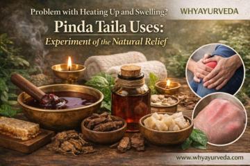 Pinda Taila Uses: Natural Ayurvedic Oil for Pain, Inflammation & Stress Relief