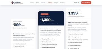 CodePeko - Professional SEO Services for Better Google Rankings