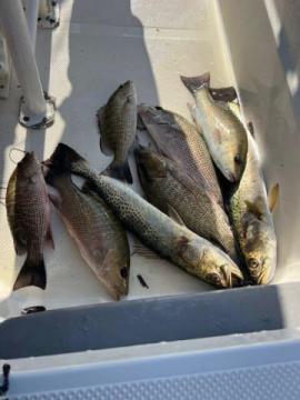 Celebrate on the Water — Special Occasion Fishing Charters