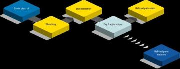 The unique and best quality of Palm is that it produces two types of oil: Palm Oil and Palm Kernel o