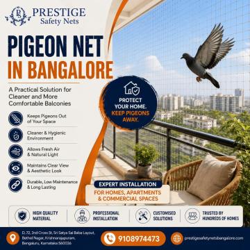 Pigeon Net in Banglore