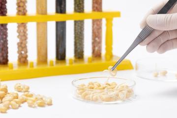 Western Blot Phosphorylated Proteins Advance Precision Medicine