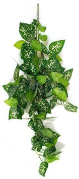 Shweta Enterprise - Artificial Plants & Grass