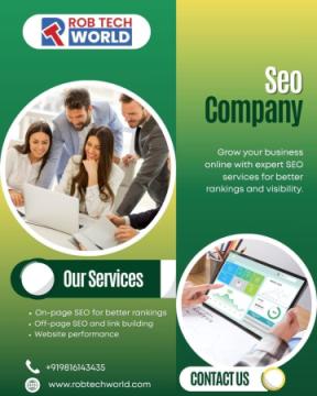 Top SEO Company in Zirakpur: Boost Your Google Ranking & Leads