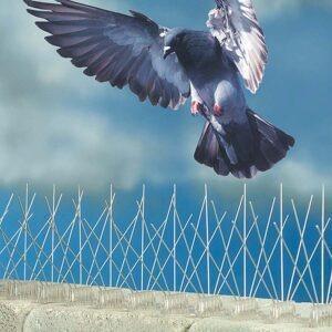 Best Pigeon Nets in Chennai for Balcony Protection
