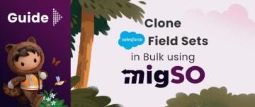 Clone Salesforce Fields Easily with migSO – Native Salesforce Metadata Management