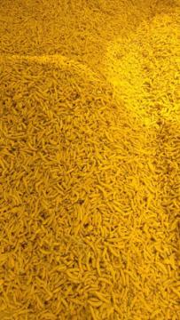 Sunanda Foods & Spices - Premium Spices Manufacturer & Suppliers