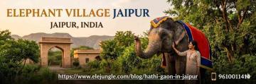Elephant Village Jaipur