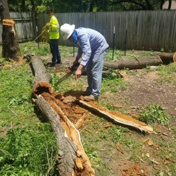 Rooted In Texas Tree Care