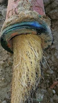 Simply Green Plumbing