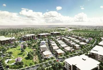 Town Development Services in Gold Coast