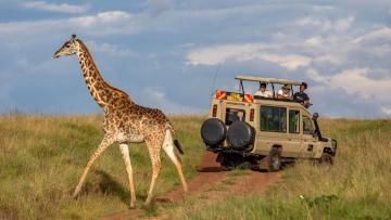 Safari from Nairobi to Mombasa – Discover Kenya on the Way