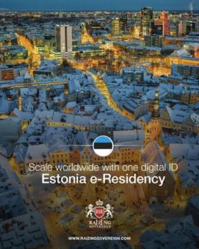 Start Your EU Business Remotely with Estonia e-Residency – Powered by Raizing Sovereign