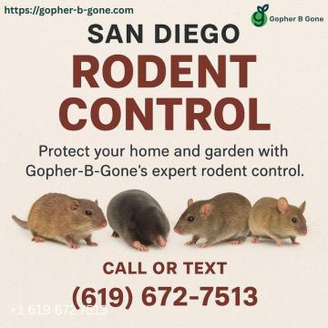 San Diego Gopher & Rodent Control – Safe, Effective, Local