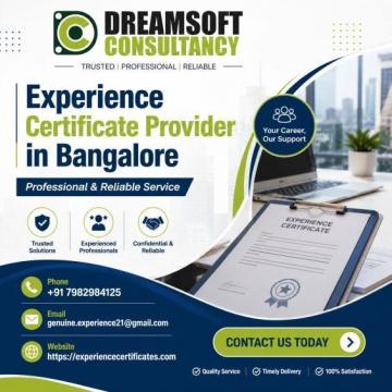 What HR Teams Check During Employment Verification in Bangalore