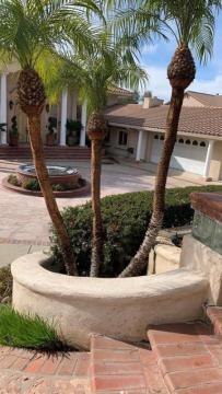 Lorenzo's Tree Services