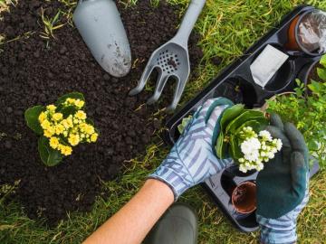 Gardening Services in London – Reliable Garden Care