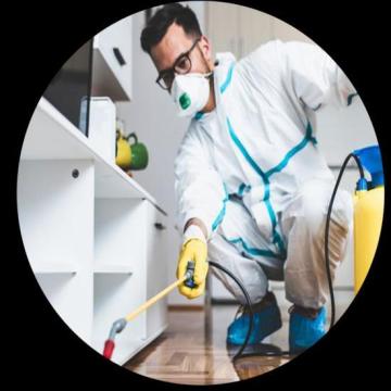 Cassini Pest Control