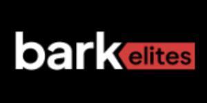Custom Logo Design Services | Professional Branding by Bark Elites