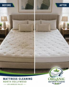 Organic Mattress Cleaning