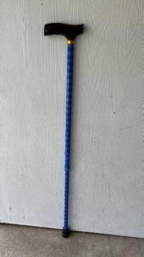 Cane