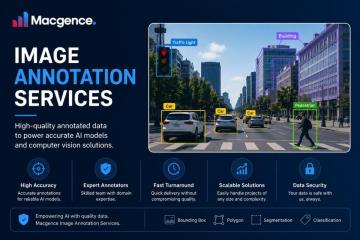 Affordable Image Annotation Services for AI Development
