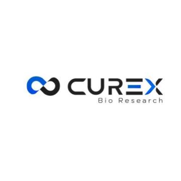 Accelerate Your Drug Development Pipeline with CurexBio CRO